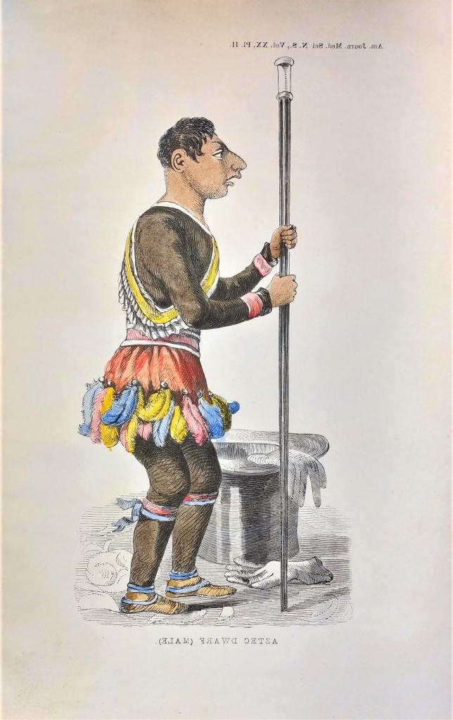 Illustration of Maximo. His clothing is black with a red, blue, and yellow feathered skirt and some brightly colored accessories. He has short, dark hair and a small head and body. Also in the picture are a top hat, gloves and walking stick, all of which are comically large compared to him. Underneath is written “Aztec Dwarf (Male).”